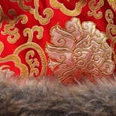 Detail of Brocade